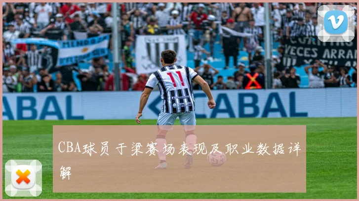 CBA球员于梁赛场表现及职业数据详解