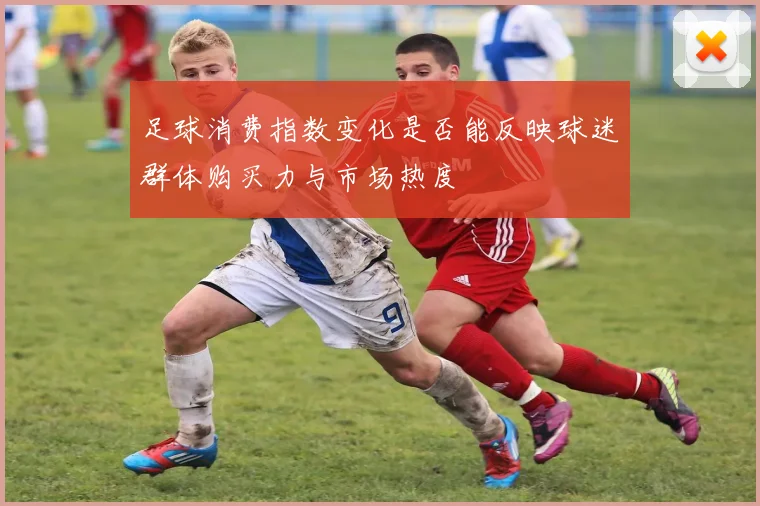 足球消费指数变化是否能反映球迷群体购买力与市场热度